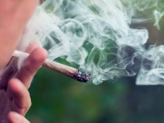 Smoking Weed vs. Smoking Tobacco: What Science Says