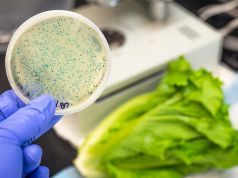 Got This Lettuce in Your Fridge? Throw it Out Before You Get Sick