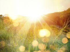 Could Butt Sunning Be Better Than a Cup of Coffee?