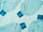 Your Water Bottle Could be Hurting Your Immune System