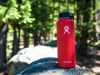 What’s Lurking Inside Your Water Bottle? Researchers Share the Shocking Truth