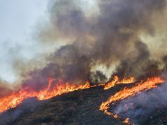 The Real Dangers of Breathing Wildfire Smoke