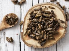 This “Disgusting” Food Has More Iron Than Spinach & More Omega 3’s Than Salmon