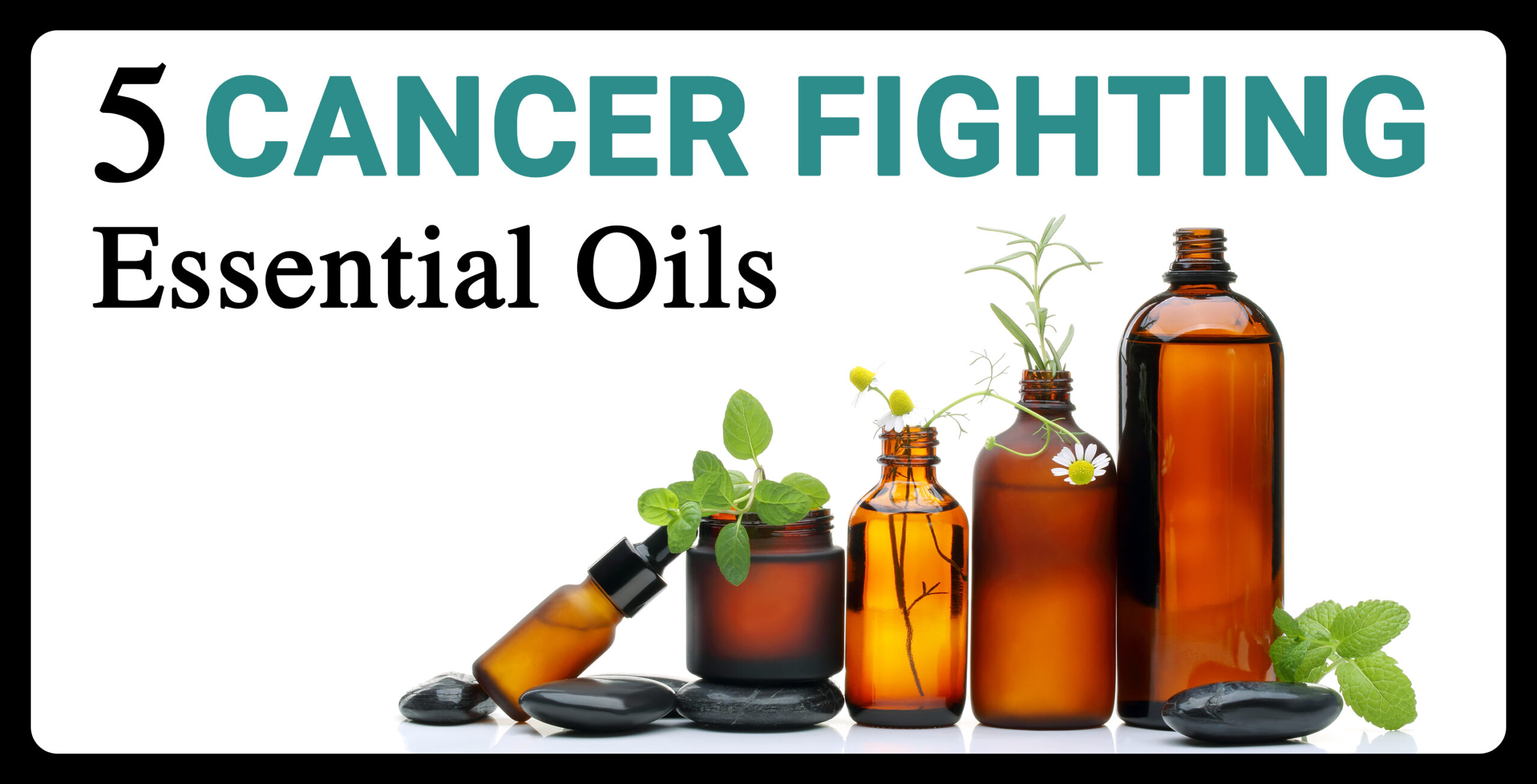 5cancerfightingessentialoils_980x500_RETINA