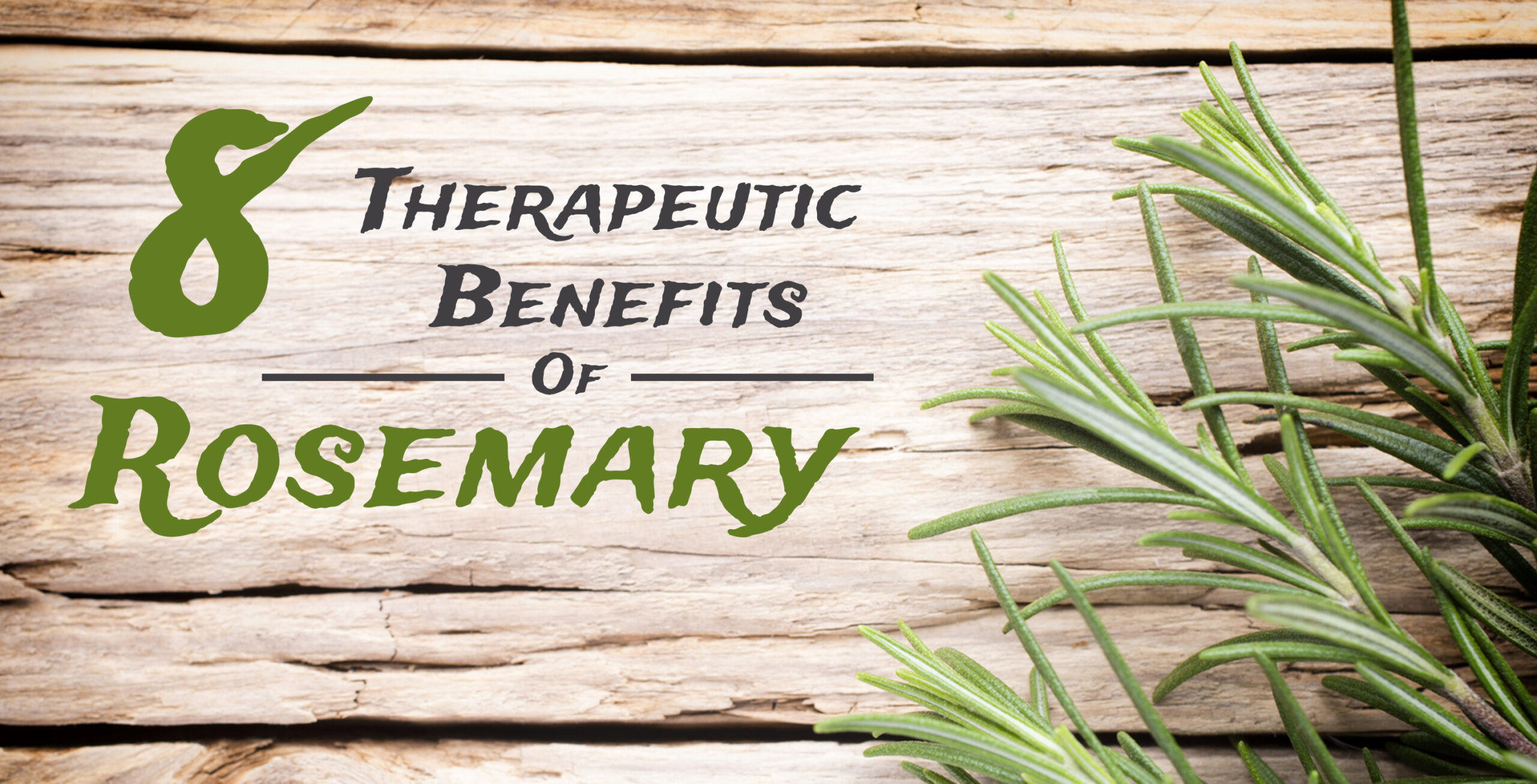 8TherapeuticBenefitsRosemary_980x500_RETINA