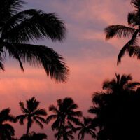 SpaceXStarshipExplodesMidAirScatteringDebrisOverFloridaandtheBahamas_AltDaily_980x500