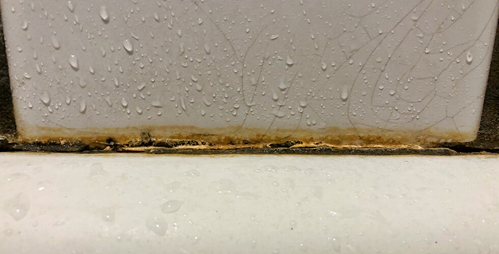 Mold Alert: What That Musty Smell Could Mean for Your Health
