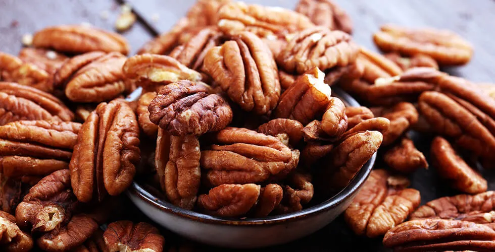 PetOwnersBewareTaintedPecansPoseHidden SalmonellaDangertoAnimalsToo_AltDaily_980x500