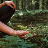 TheJapaneseArtofForestBathingHowNatureCanHealYourMindandBody_AltDaily_980x500