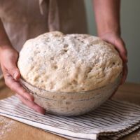 TheTradWifeTrendWhySomeWomenAreEmbracingOldFashionedRoles_AltDaily_980x500