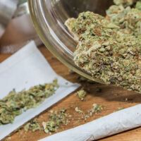 WhyPotMayBeMoreAddictiveThanYouThink_AltDaily_980x500