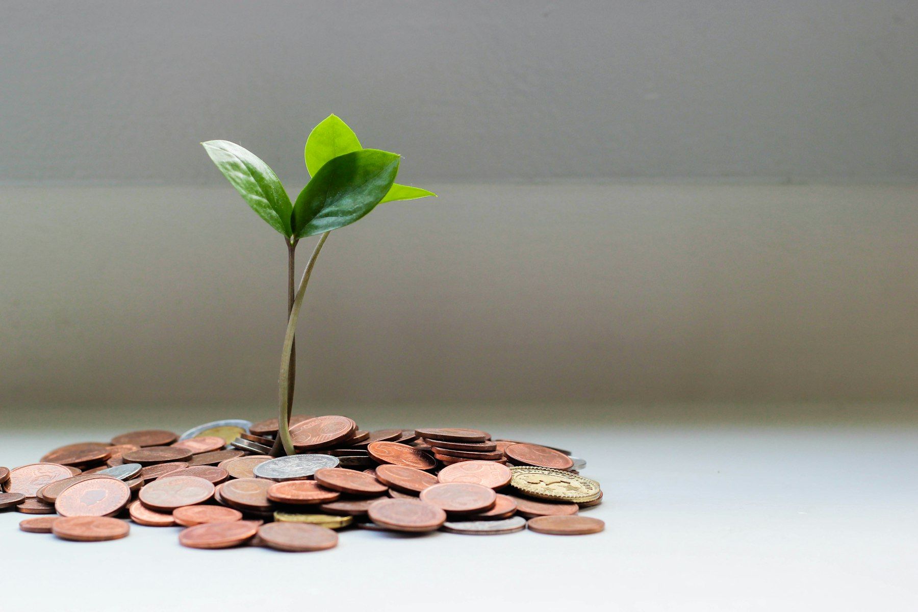 07-sep-ira-self-employed-retirement A SEP-IRA Is the Retirement Plan Your Boss Was Supposed to Set Up