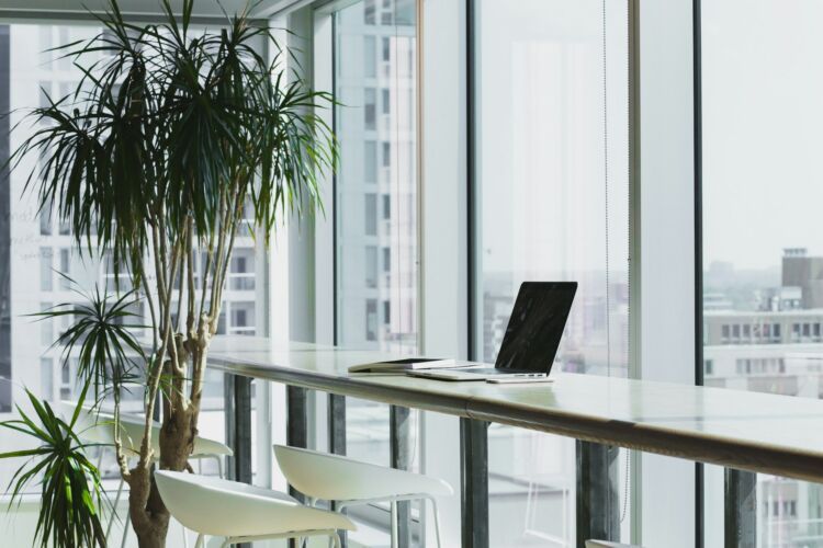 Founder Loneliness Is a Health Risk, Not a Personality Trait