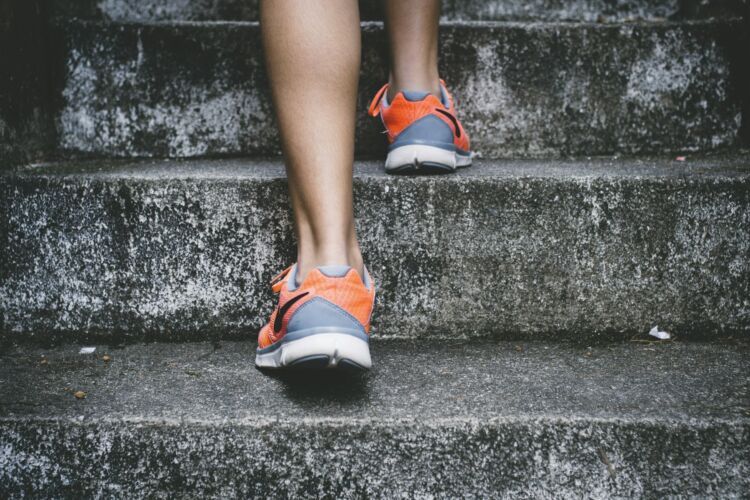 Walking Meetings Are the Cheapest Health Upgrade a Founder Can Buy