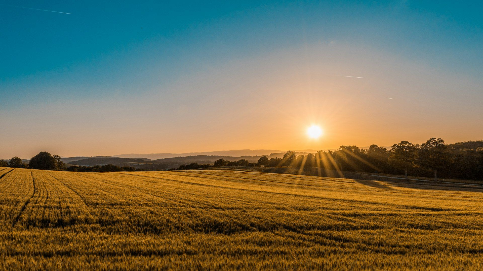 Vitamin D Deficiency Is Not Fixed by Sunscreen-Only Advice Vitamin D Deficiency Is Not Fixed by Sunscreen-Only Advice