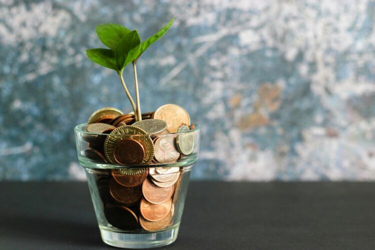 401(k) Fees Don't Look Like Fees Until You Count the Years